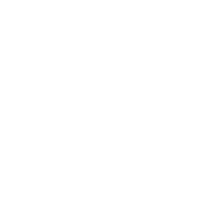 100% Facebook Free